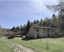 IMG_7308 - Marco Merighi